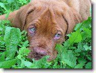 Arturek před 6-ti měsíci, 50 kg!