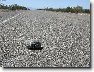 klídek..jdu jak nejrychleji umím