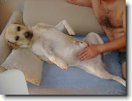 chlapská pohodička