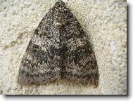 Já nejsem ošklivá