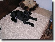 Já taky budu jednou velkej!