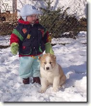 mladý kynolog se svým psem