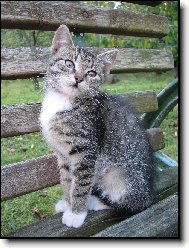 Pózování na lavičce