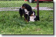 Pudjdeme si hrát???