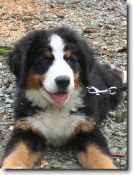 A už se mnou nikdo nehne!