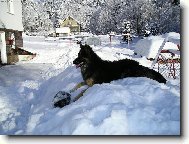 Odpočinek na sněhu:-)