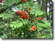 Podzim se hlásí...