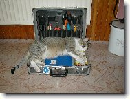 Zasloužený odpočinek