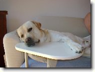 Charlieho pohodička