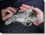 Mikeška (v té době ještě Mikeš)