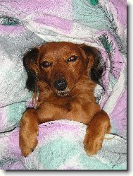 ..ještě 10 minut...:)