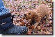 ... a stejně tě přeperu