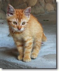 ... než se nám ztratila :-(