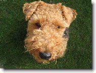 dívej se mi do očí!