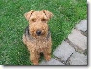 hele co to je za divnou kovovou věc?