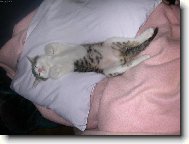 Míííšššaanek jak jen to jde:-)