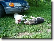 Holky se na sebe usmívají