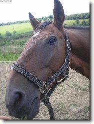 Koukej mi ten foťák vrátit!