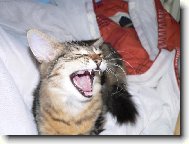 neotravujte, néé !