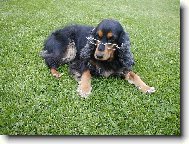 Už na vás vidím !!