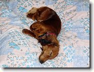 Pohoda klídek a leháro