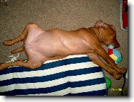 Ach bože,já tu želvu prostě nedám.....