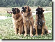 Rodinka z Milotiček