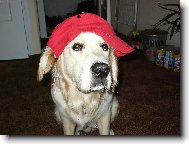 To jsem ale fešák....