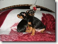 Nejlepší kámošky