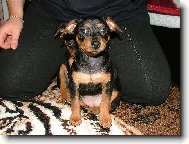 Já už se fotit nebudu !!!