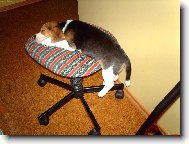 Takhle se padá únavou na čumák