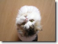 Celý svět se točí jen kolem mě!