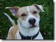 Copak to bude asi dobrého??