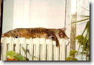 Je mi velmi příjemně