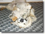 Kdo si hraje nezlobí