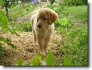 Kam zmizela ta kočička