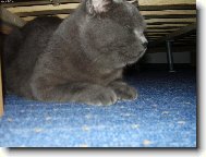 Přemýšlím, nerušit!