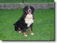 Tak to je odepolední siesta