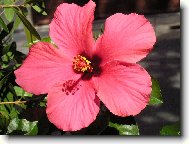 dovolená a její krási