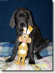 Já a můj nejlepší kamarád