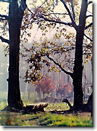 Zátiší s lavičkou