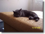 Naše malá princezna