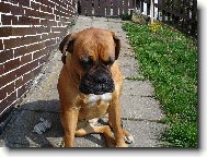 To sluníčko tak krásně hřeje.