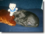 Vše mám pod kontrolou