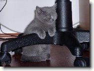 usnou se dá jakkoliv