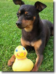 naše miminko a "mrtvá" kachnička