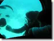 Kuba v ponorce a potápěč