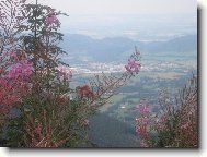 Pohled na okolní svět......