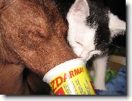 Jogurtík, to je naše