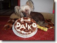 Miluji tvarohový dort